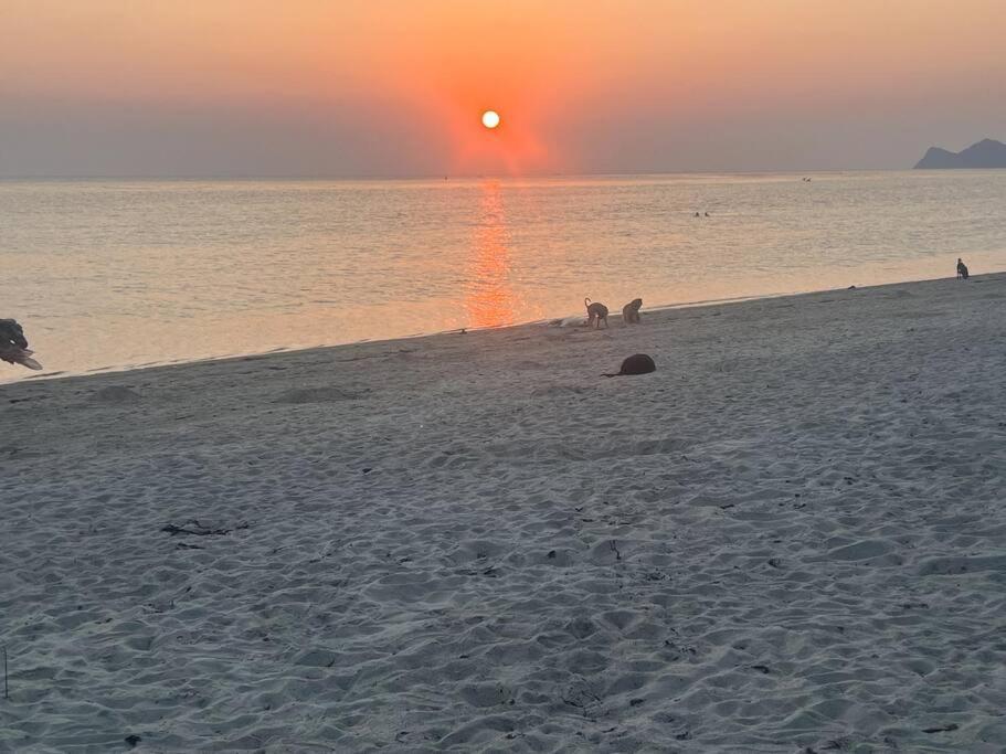 Sunset Serenity Cove Ko Pha Ngan Luaran gambar
